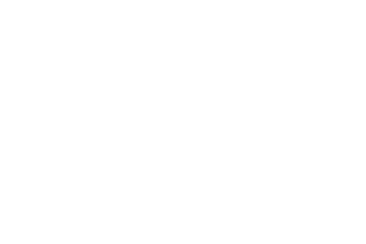 C17 - Scope. Plan. Deliver